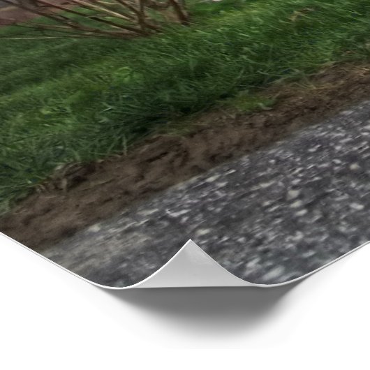 ハーレー ポスター (角)