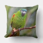 ハーンズミニマコー クッション (正面)