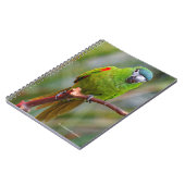 ハーンズミニマコー ノートブック (左側)