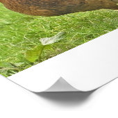 ハーン ポスター (角)