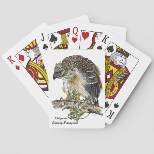 ハ絵を描イグルの遊カード トランプ (裏面)