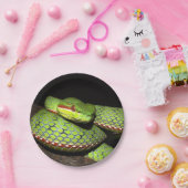 ハ虫類の恋人のための緑ヘビ ペーパープレート (パーティー)