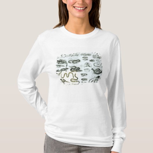 ハ虫類、蛇およびトカゲ Tシャツ (正面)