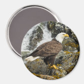 ハ誇りを持ったゲワシ マグネット (正面/裏面)