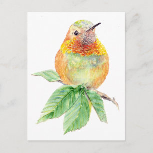 ハummingbird , 鳥, 自然, 野生生物, ポストカード