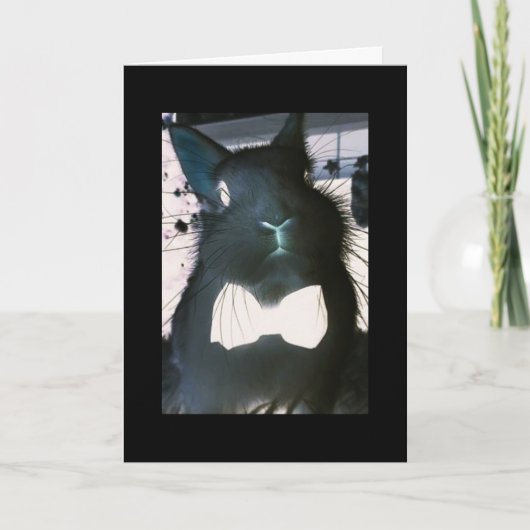 ***バおもしろいニー***おもしろカード**イースター挨拶** シーズンカード (正面)