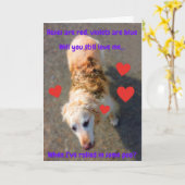 バおもしろいンタ転がンドッグ… カード (黄色い花)