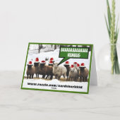 バおもしろいー・フンバグ シーズンカード (裏面)