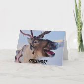 バおもしろいーHumbugトナカイのクリスマスカード カード (正面)