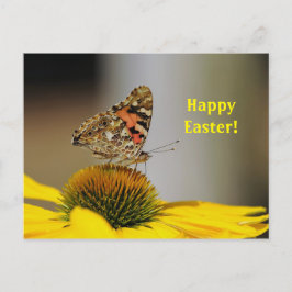 バかわいらし色彩の鮮やかラのフローラ写真イースター ポストカード