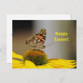 バかわいらし色彩の鮮やかラのフローラ写真イースター ポストカード (正面/裏面)