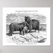 バアバアブラックシープ子供部屋韻 ポスター (正面)