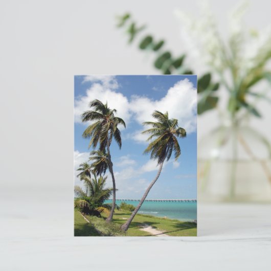 バイアホンダ州パークアンドセブンマイルブリッジ ポストカード (スタンド正面)