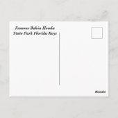 バイアホンダ州パークフロリダ鍵 ポストカード (裏面)