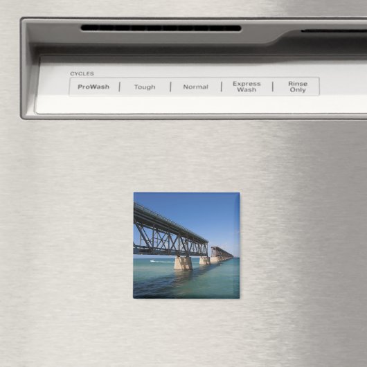 バイアホンダ州パーク,フロリダ州鍵,鍵 マグネット (インサイチュ (食洗機))