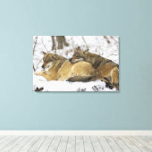 バイエルンの森の狼 キャンバスプリント (インサイチュ (ウッドフロア))
