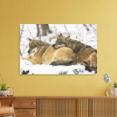 バイエルンの森の狼 キャンバスプリント (インサイチュ (リビング))