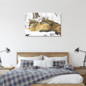 バイエルンの森の狼 キャンバスプリント (インサイチュ (寝室))