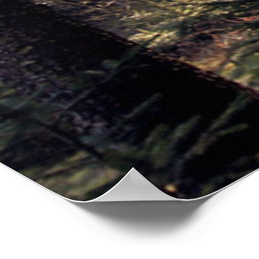 バイエルンの森 ポスター (角)