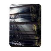 バイエルンの森 マグネット (縦)