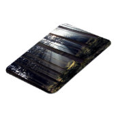 バイエルンの森 マグネット (左側)