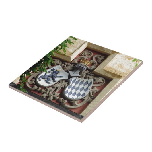 バイエルンの紋章付き外衣 タイル (側面)