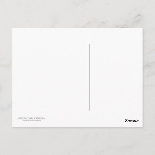 バイエルン地方の森のポストカード ポストカード (裏面)