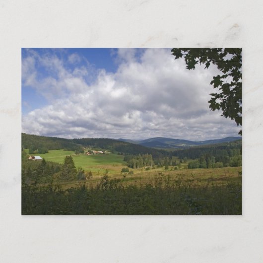 バイエルン地方の森のポストカード ポストカード (正面)