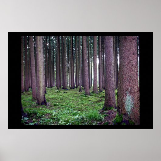 バイエルン森林 ポスター (正面)