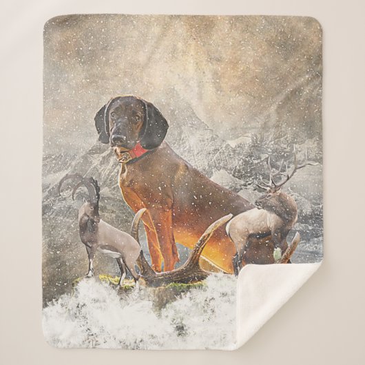 バイエルン・マウンテン・ハウンド・アート シェルパブランケット (正面)