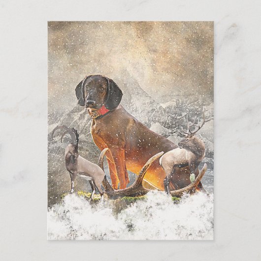 バイエルン・マウンテン・ハウンド・アート ポストカード (正面)