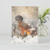 バイエルン・マウンテン・ハウンド・アート 招待状 (スタンド正面)