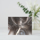 バイオグレードはがき ポストカード (スタンド正面)