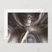 バイオグレードはがき ポストカード (正面/裏面)