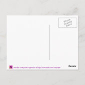 バイオリニストの ポストカード (裏面)