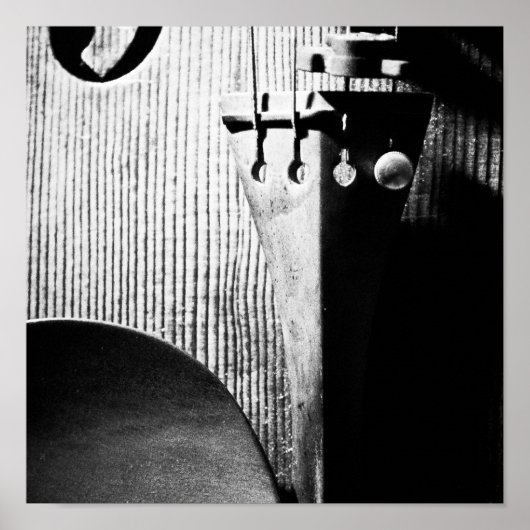 バイオリンのポスター ポスター (正面)