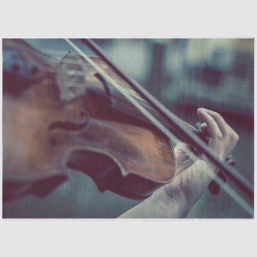 バイオリンの分離 薄葉紙 (正面)