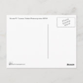 バイオリン奏者 ポストカード (裏面)