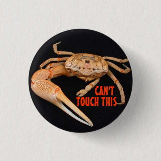 バイオリン弾きの時間を停止して下さい 缶バッジ