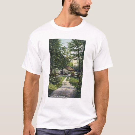 バイオリン弾きの緑の眺め Tシャツ (正面)