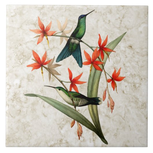 バイオレットによっておおわれる森の精のハチドリのセラミックタイル タイル (正面)