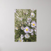 バイオレットアスター