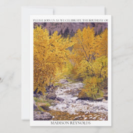 バイオレットカラフルオレンジイエローナイザー誕生日