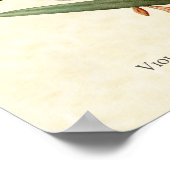 バイオレットキャップウッドニンフハミンバードアートプリント ポスター (角)