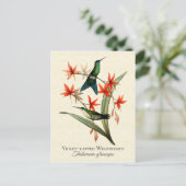 バイオレットキャップ木製ニンフHummingbirdアートポストカード ポストカード (スタンド正面)