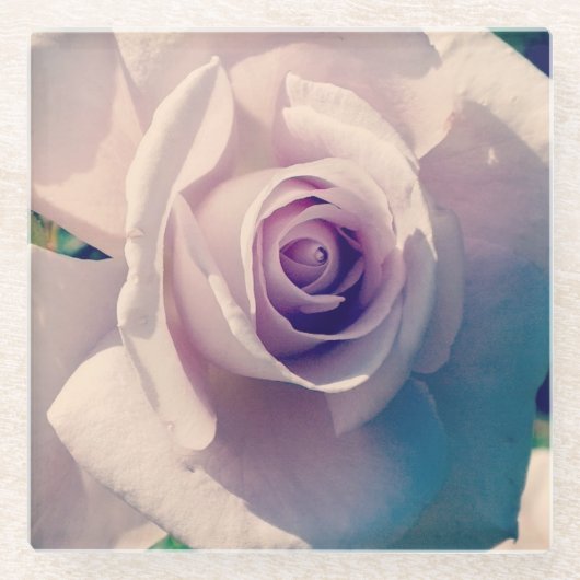 バイオレットバラ ガラスコースター (正面)