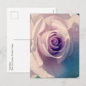 バイオレットバラ シーズンポストカード (正面/裏面)