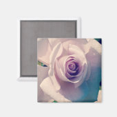 バイオレットバラ マグネット (正面/裏面)