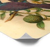 バイオレットパープルマニュコードヴィンテージバードプリント ポスター (角)