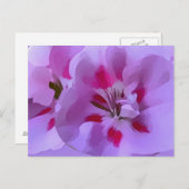 バイオレットピンク抽象芸術ハイビスカスフラワー ポストカード (正面/裏面)